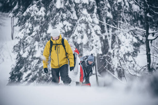 istock Friends hike through snowy forest 1218664196