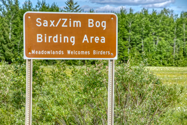 istock Sprawling nature preserve featuring bogs & forests in Northern Minnesota 1218664226