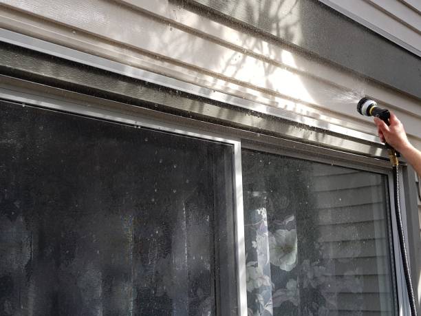 istock Washing siding walls 1218666610