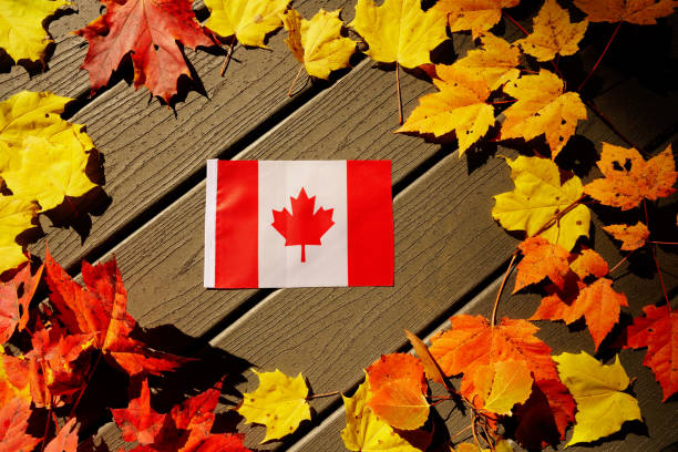 istock Canadian flag with real  maple leaves colored in red 1218673414