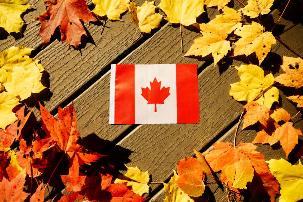 Close up studio shot of real Canadian flag