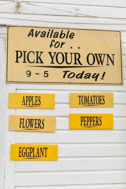 istock Pick your own vegetables sign at a farm 1218674533