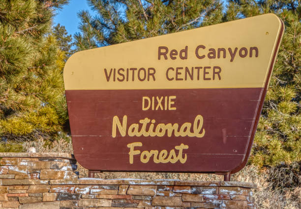 istock Dixie National Forest is located in Utah 1218676335
