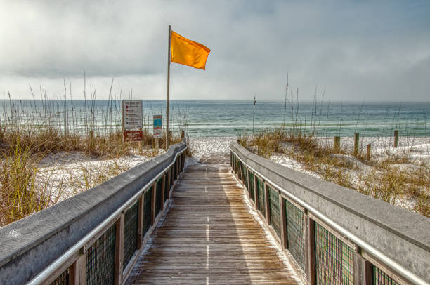 grayton beach è una delleva su uno stato della florida - sand beach sand dune sea oat grass foto e immagini stock