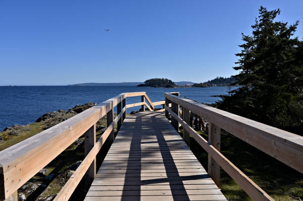 istock Elevated Walkway Crossing Rough Hill Terrain 1218678333