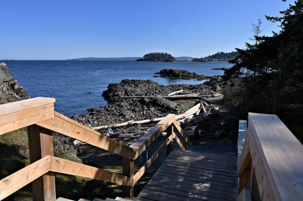 istock Directly Above View of Coastline 1218679228