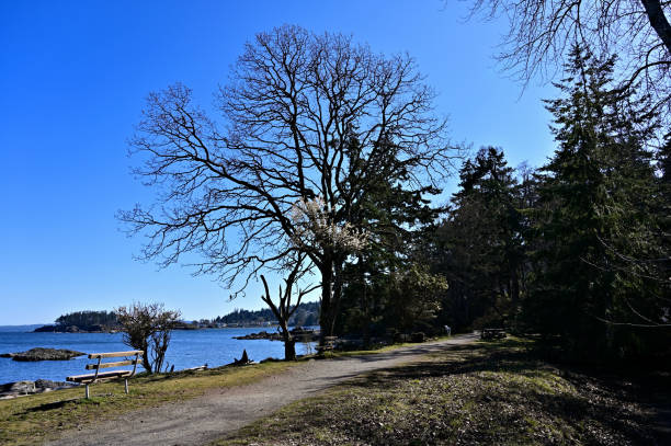 istock Footpath Along Park Bench and Coastline 1218679241