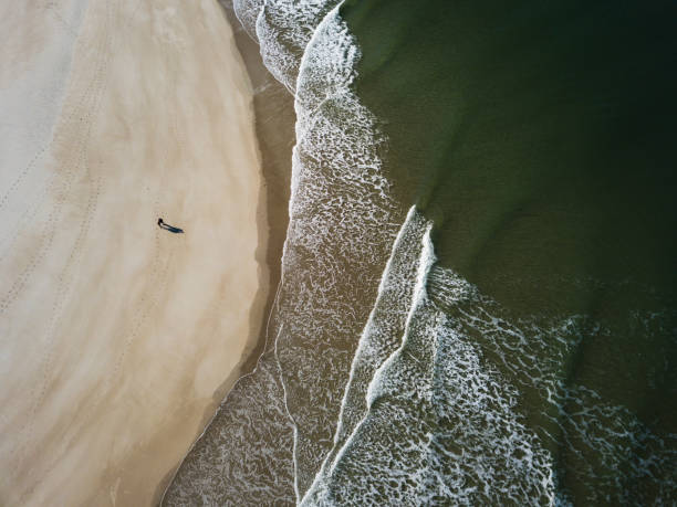 istock Arial Photograph of a Beach 1218680581
