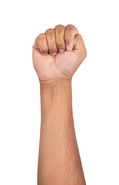 istock Male fist isolated on white background 1218685331