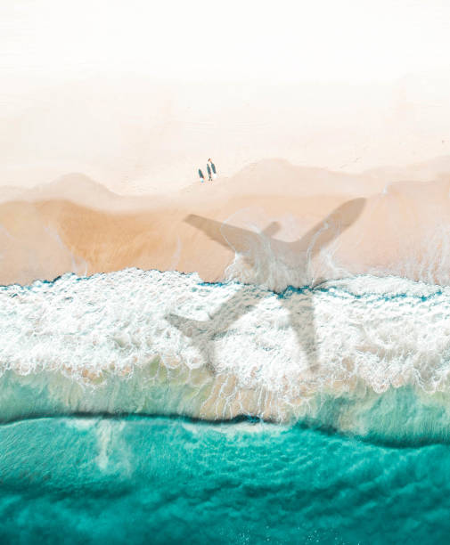 istock An aircraft silhouette is seen on a beach with tourists watching. 1218687670