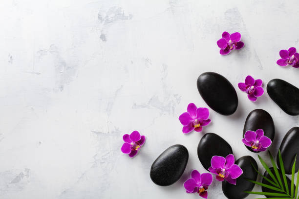 Spa composition with flowers, green leaves and massage stone on white background top view. Beauty treatment and relaxation concept. Flat lay.