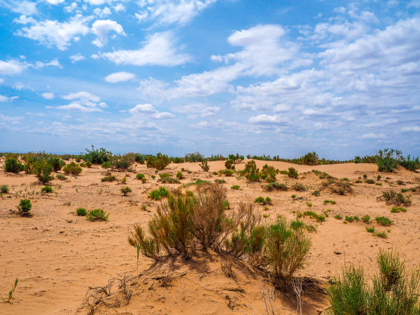 Mongolia landscape is filled with open plains, mountain rangers and deserts.