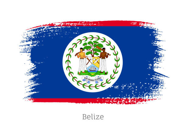 официальный флаг белиза в форме мазок кистью - flag of belize stock illustrations