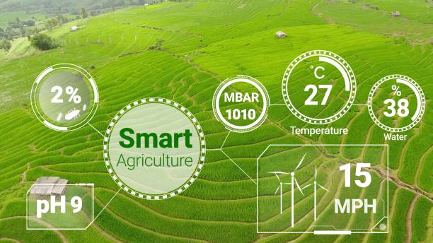 istock Smart digital agriculture technology by futuristic sensor data collection 1218694087