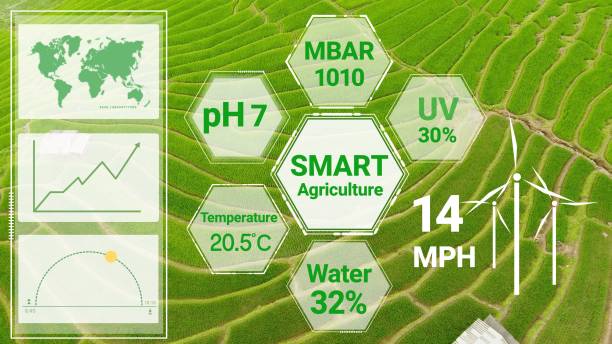istock Smart digital agriculture technology by futuristic sensor data collection 1218694126