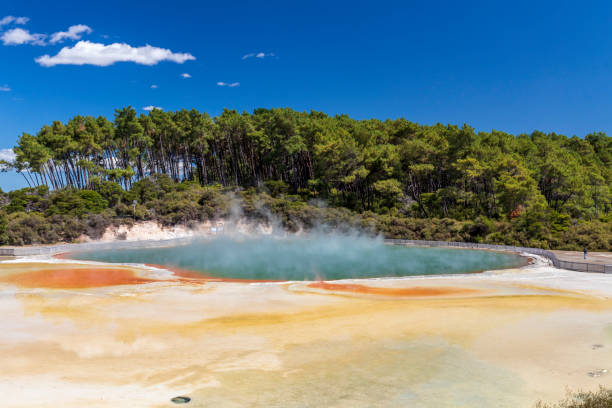 wai o tapu aguas termales en nueva zelanda. - new zealand geyser champagne park fotografías e imágenes de stock