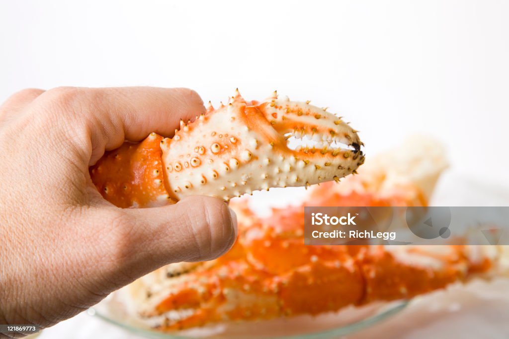 Crab Legs A hand holding a crab claw. Alaskan King Crab Stock Photo