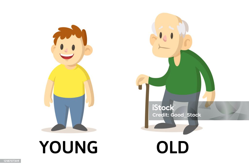 Words Young And Old Flashcard With Cartoon Characters Opposite Adjectives  Explanation Card Flat Vector Illustration Isolated On White Background  Stock Illustration - Download Image Now - iStock