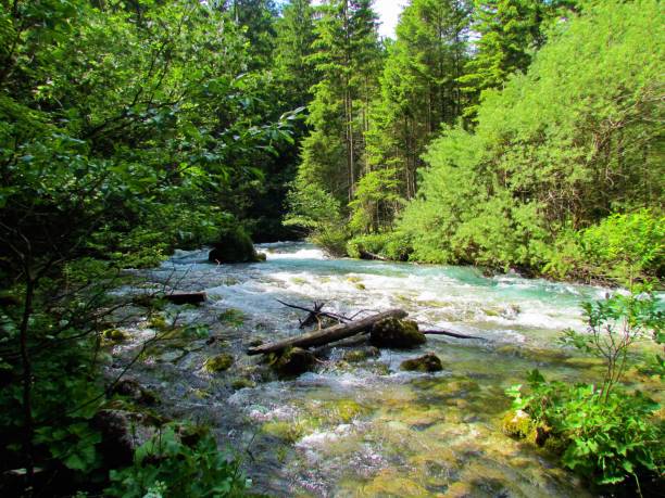 istock Kamniska Bistrica river 1218707691