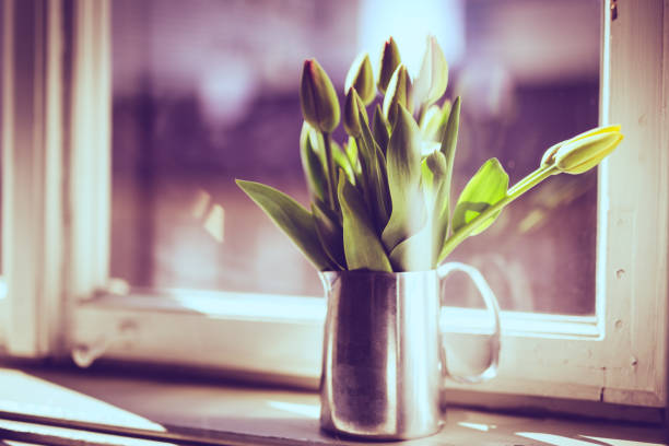 Flowers in vase. Krakow in Poland.