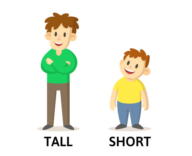 ilustrações de stock, clip art, desenhos animados e ícones de words tall and short flashcard with cartoon characters. opposite adjectives explanation card. flat vector illustration, isolated on white background. - tall