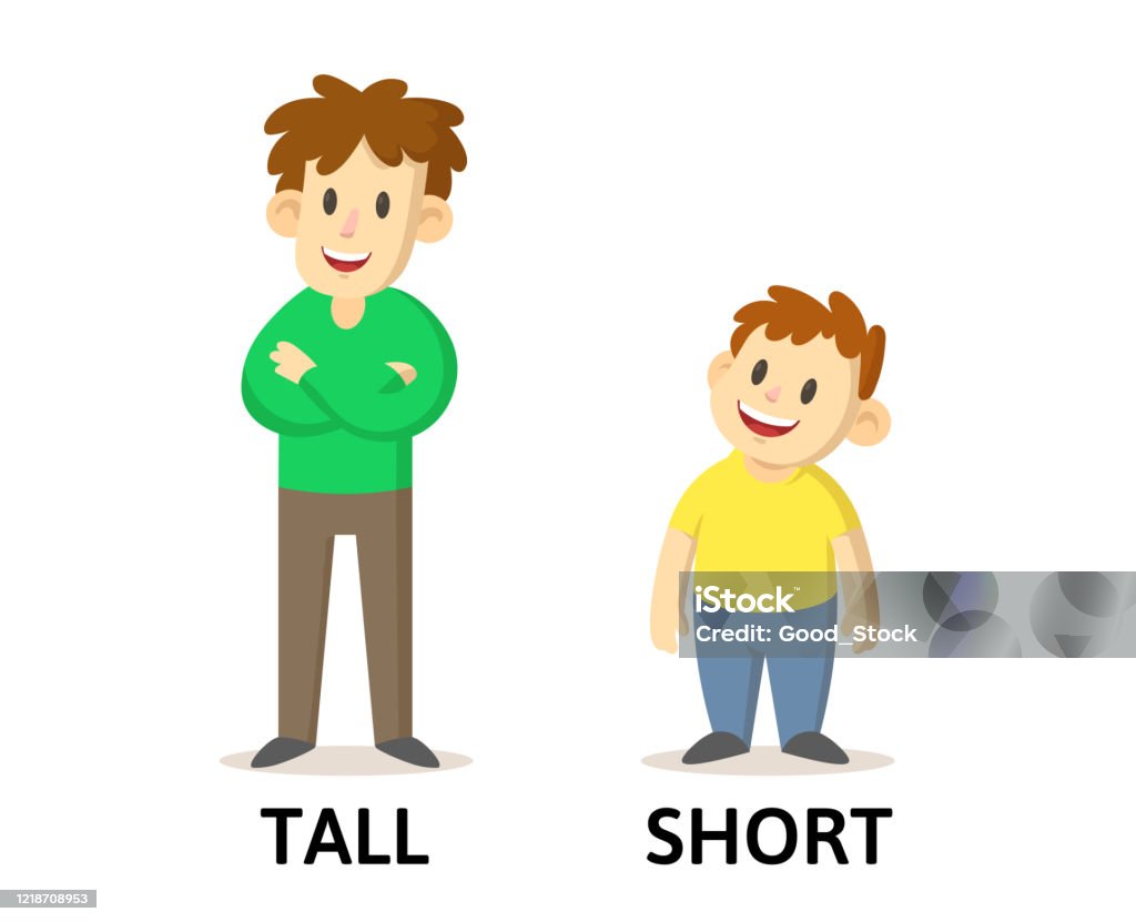 Words Tall And Short Flashcard With Cartoon Characters Opposite ...