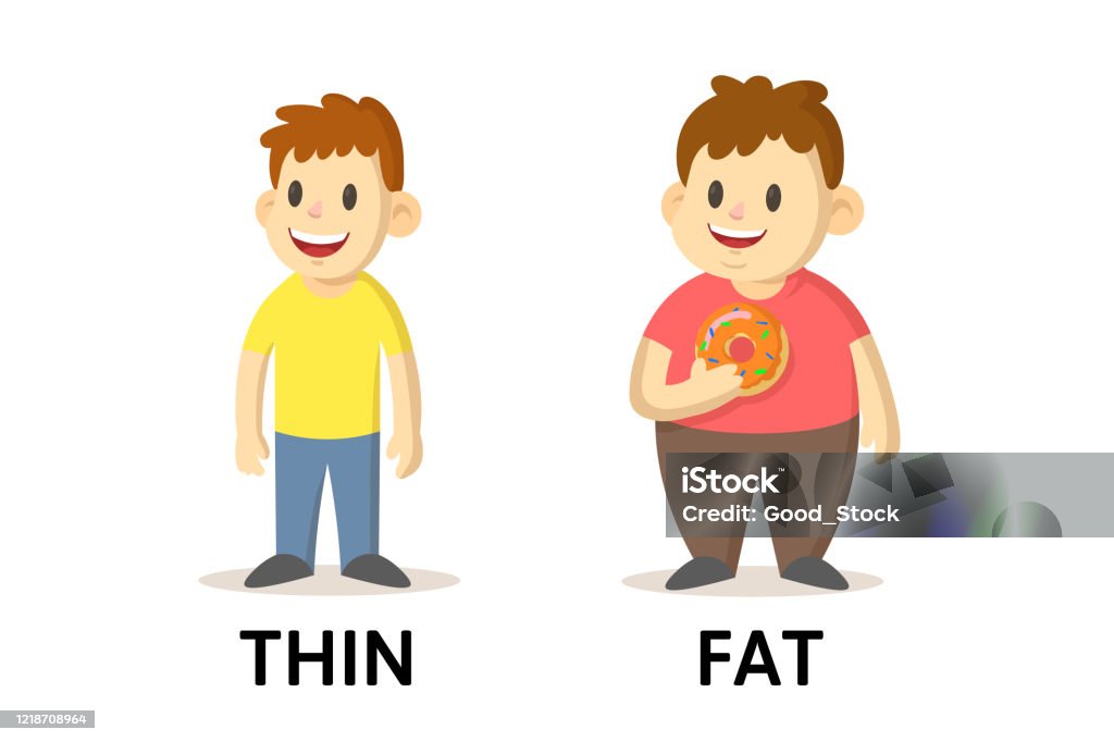 Tall short fat thin. Карточки fat thin. Fat Thun картинки для детей. Fat thin картинка для детей. Thin рисунок.