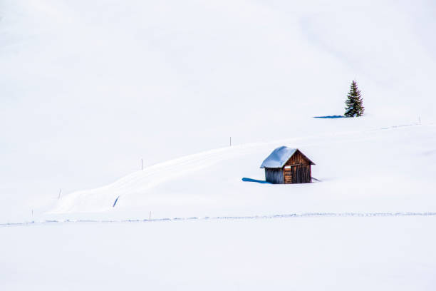 istock wooden hut and pine in the snow 1218712715