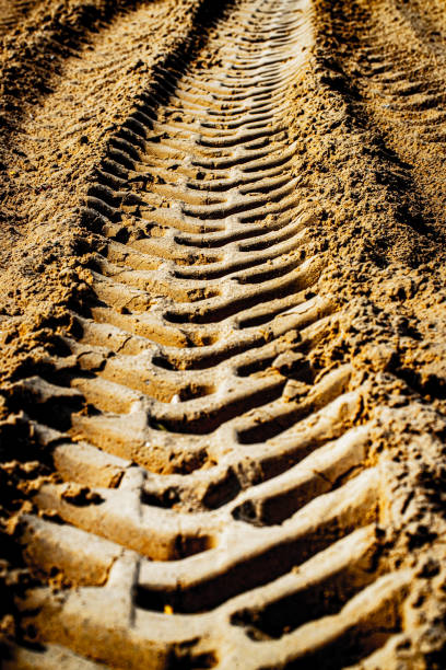 Traces in the sand