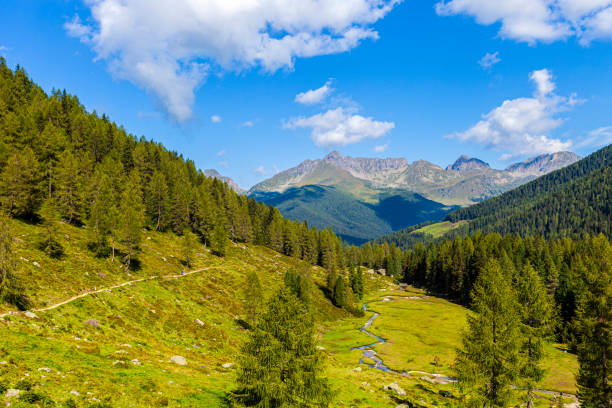 istock Italy - Caldenave plain in the Lagorai mountain range 1218716731