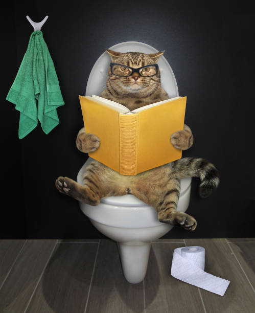 istock Cat sits on toilet with book 2 1218719446
