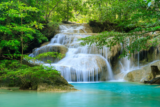 chute d’eau niveau 1, parc national d’erawan, kanchanaburi, thaïlande - waterfall tropical rainforest erawan thailand photos et images de collection