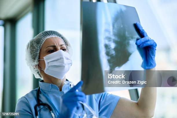 Female Doctor Examining Patients Chest Xray At The Hospital Stock Photo - Download Image Now