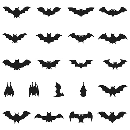 Collection of Bat icon set