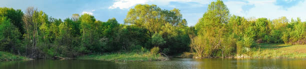 istock Quiet river on a background of blue sky 1218726859