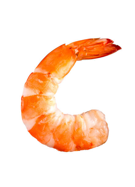 istock Shrimp on a white background, Cooked white Shrimp isolated on white background. 1218727025