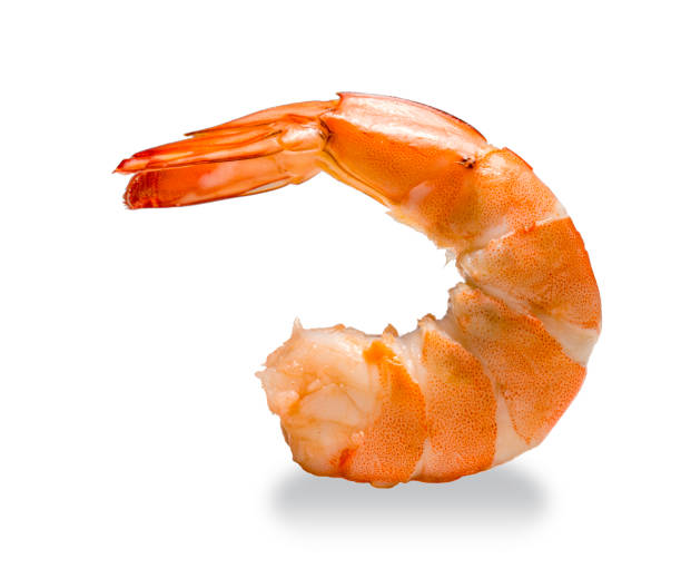 istock Shrimp on a white background, Cooked white Shrimp isolated on white background. 1218727045