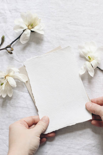 frühling feminine hochzeit briefpapier mockup szene. nahaufnahme der frauen hände halten leere baumwoll-papier-karte. blühende weiße stern magnolie baum zweige auf leinen tischtuch. vertikale flache lage, obere ansicht. - magnolia blossom flower head single flower stock-fotos und bilder