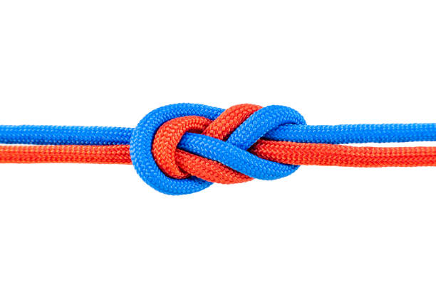istock Knot on a cord isolated on a white background . 1218729565