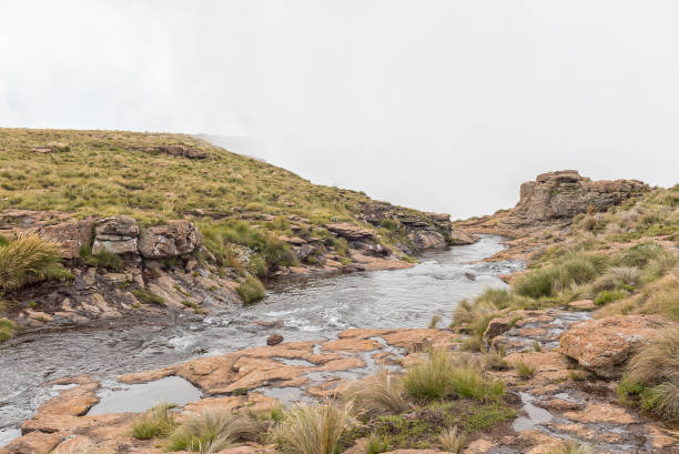 투겔라 폭포 꼭대기에 있는 투겔라 강 - tugela river 뉴스 사진 이미지