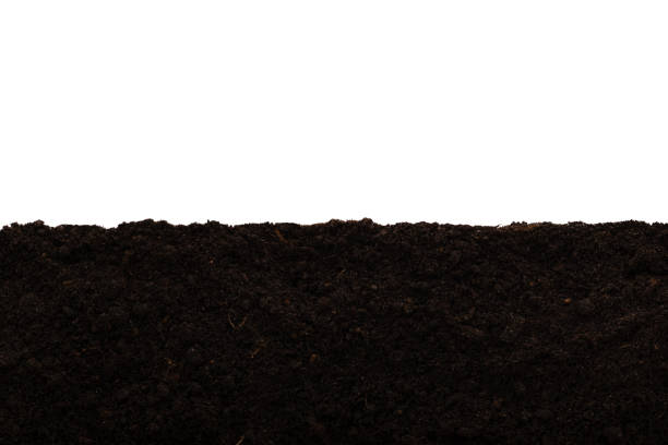 istock Cross section of soil 1218731556