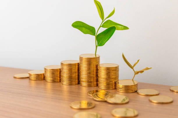 Finance and Investment concept. Growing Money and plant on coins. the meaning of the picture is money loss in the stock market fall Finance and Investment concept. Growing Money and plant on coins. the meaning of the picture is money loss in the stock market fall best gold ira group stock pictures, royalty-free photos & images