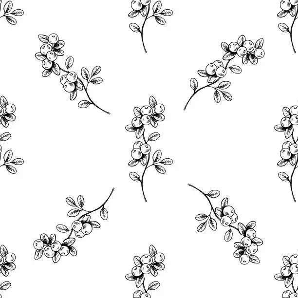 Vector illustration of Seamless pattern of blueberry twigs with leaves.