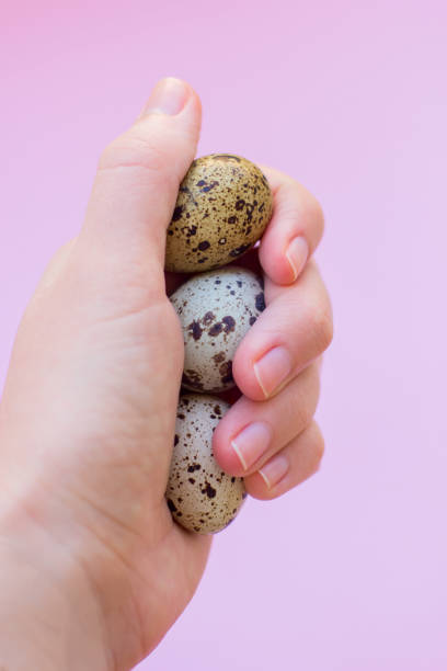 istock Set of eggs on the background 1218737576