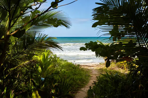 Photo of Natures window Itacarezinho Beach