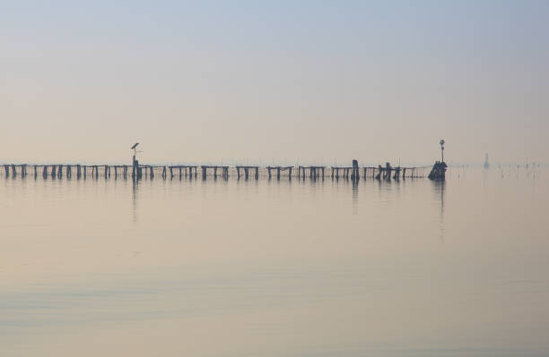 istock Fishing stilts in the Venice lagoon 1218741183