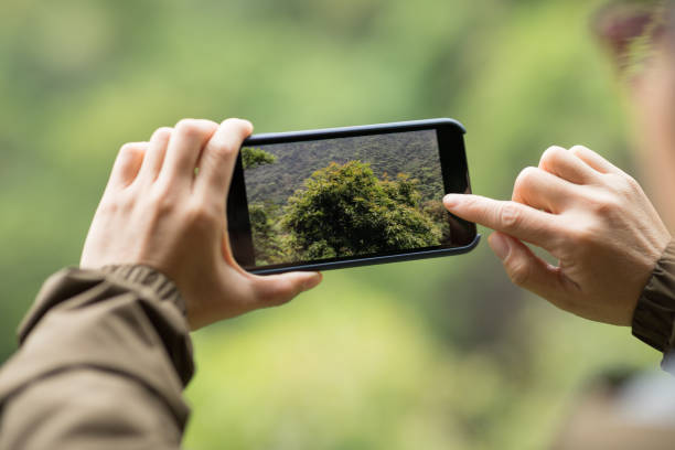 istock Hiker hands taking picture with mobile phone in spring nature 1218742121