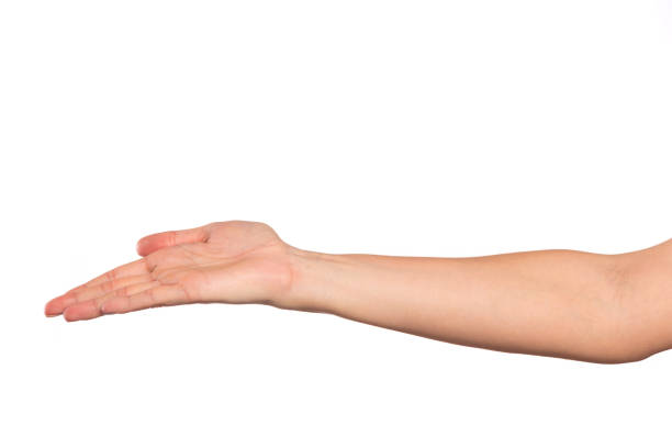 istock female hand isolated on white background showing hand gestures 1218743469