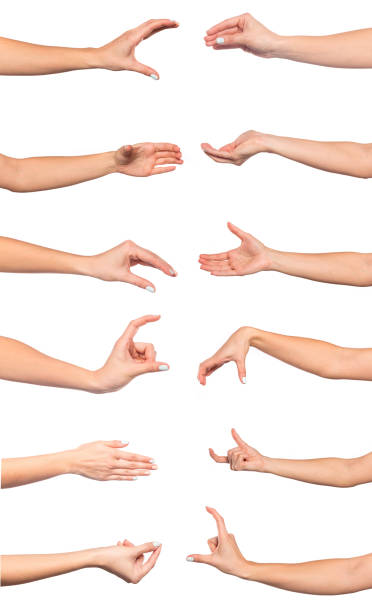 istock set of   female  hands   isolated on white background 1218743642