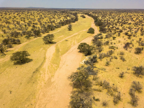 istock dried up river bed in Damaraland, Namibia 1218747798